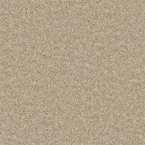 Shaw Floors Carpet All Star Weekend II 15' Flax Seed 00103_E0142