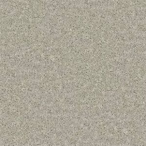 Shaw Floors Carpet All Star Weekend II 15' Bare Mineral 00105_E0142