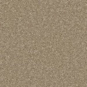 Shaw Floors Carpet All Star Weekend II 15' Tassel 00107_E0142