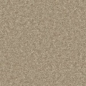 Shaw Floors Carpet All Star Weekend II 15' Honeycomb 00201_E0142