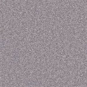 Shaw Floors Carpet All Star Weekend II 15' Ink Spot 00501_E0142