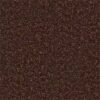 Shaw Floors Carpet All Star Weekend II 15' Flower Pot 00610_E0142