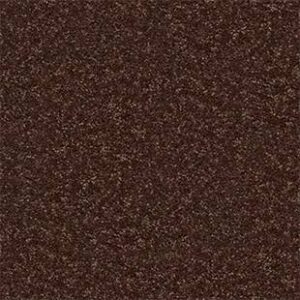 Shaw Floors Carpet All Star Weekend II 15' Flower Pot 00610_E0142