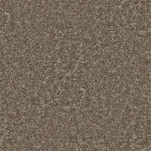 Shaw Floors Carpet All Star Weekend II 15' Hearth Stone 00700_E0142