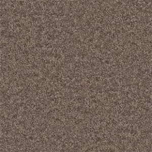 Shaw Floors Carpet All Star Weekend II 15' Cattail 00702_E0142