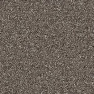 Shaw Floors Carpet All Star Weekend II 15' Driftwood 00703_E0142