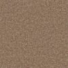 Shaw Floors Carpet All Star Weekend II 15' Taffy 00704_E0142