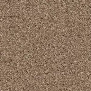 Shaw Floors Carpet All Star Weekend II 15' Taffy 00704_E0142