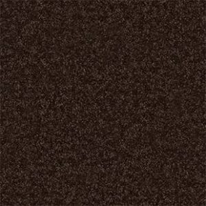 Shaw Floors Carpet All Star Weekend II 15' Coffee Bean 00705_E0142