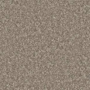 Shaw Floors Carpet All Star Weekend II 15' River Slate 00720_E0142