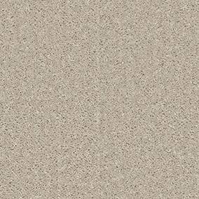 Shaw Floors Carpet All Star Weekend I 12' Bare Mineral 00105_E0143