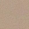 Shaw Floors Carpet All Star Weekend I 12' Tassel 00107_E0143