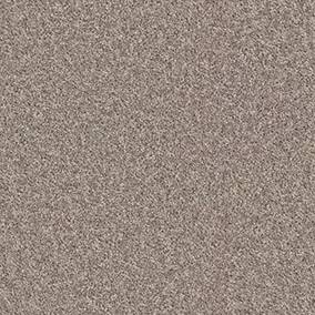 Shaw Floors Carpet All Star Weekend I 12' Aloe 00300_E0143