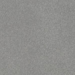 Shaw Floors Carpet All Star Weekend Ii 12' Silver Spoon 00542_E0144