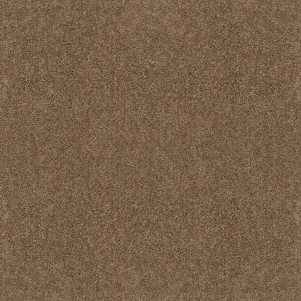 Shaw Floors Carpet All Star Weekend Ii 12' Granola 00701_E0144