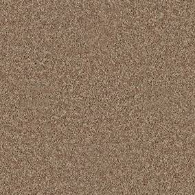 Shaw Floors Carpet All Star Weekend Ii 12' Taffy 00704_E0144