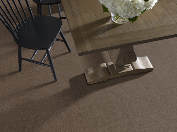 Shaw Floors Carpet All Star Weekend Ii 12' Molasses 00710_E0144 - Image 2