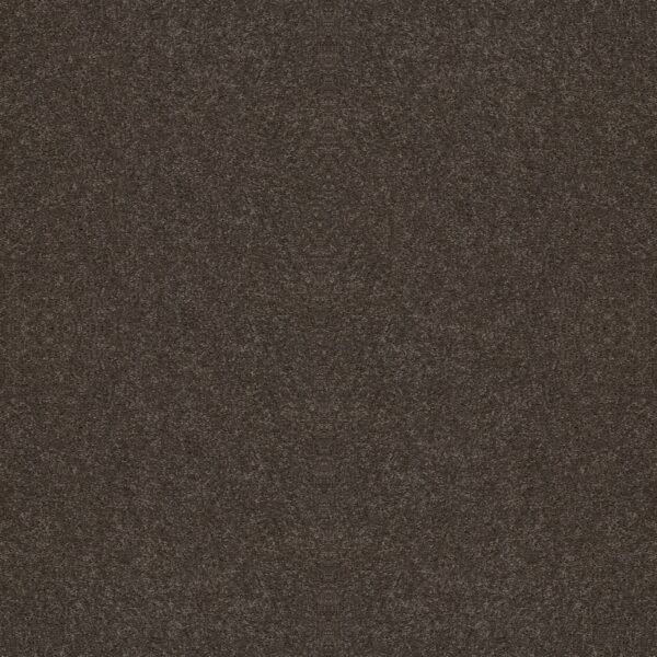 Shaw Floors Carpet All Star Weekend Ii 12' Barn Beam 00740_E0144