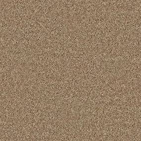 Shaw Floors Carpet All Star Weekend Iii 12' Golden Echoes 00202_E0145