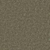Shaw Floors Carpet All Star Weekend Iii 12' Aloe 00300_E0145