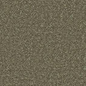 Shaw Floors Carpet All Star Weekend Iii 12' Aloe 00300_E0145