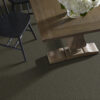 Shaw Floors Carpet All Star Weekend Iii 12' Garden Grove 00301_E0145 - Image 2