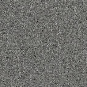 Shaw Floors Carpet All Star Weekend Iii 12' Ink Spot 00501_E0145