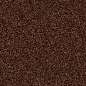 Shaw Floors Carpet All Star Weekend Iii 12' Flower Pot 00610_E0145