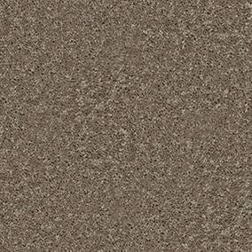 Shaw Floors Carpet All Star Weekend Iii 12' Hearth Stone 00700_E0145