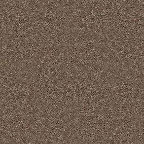 Shaw Floors Carpet All Star Weekend Iii 12' Granola 00701_E0145