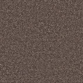 Shaw Floors Carpet All Star Weekend Iii 12' Molasses 00710_E0145