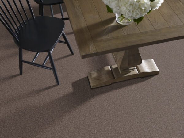 Shaw Floors Carpet All Star Weekend Iii 12' Molasses 00710_E0145 - Image 2