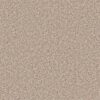 Shaw Floors Carpet All Star Weekend Iii 12' Barn Beam 00740_E0145