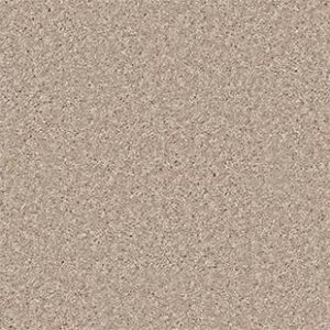 Shaw Floors Carpet All Star Weekend Iii 12' Barn Beam 00740_E0145