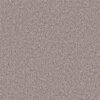 Shaw Floors Carpet All Star Weekend III 15' Bare Mineral 00105_E0146