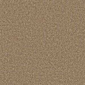Shaw Floors Carpet All Star Weekend III 15' Golden Echoes 00202_E0146