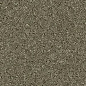 Shaw Floors Carpet All Star Weekend III 15' Aloe 00300_E0146