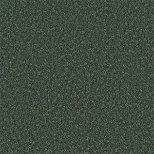 Shaw Floors Carpet All Star Weekend III 15' Going Green 00340_E0146