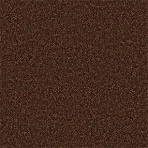 Shaw Floors Carpet All Star Weekend III 15' Flower Pot 00610_E0146
