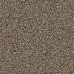 Shaw Floors Carpet All Star Weekend III 15' Hearth Stone 00700_E0146