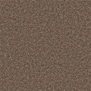 Shaw Floors Carpet All Star Weekend III 15' Granola 00701_E0146
