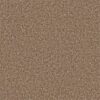 Shaw Floors Carpet All Star Weekend III 15' Taffy 00704_E0146