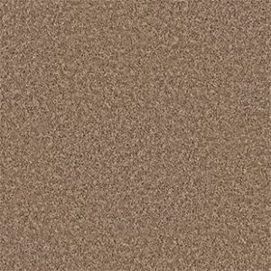 Shaw Floors Carpet All Star Weekend III 15' Taffy 00704_E0146
