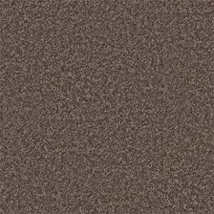 Shaw Floors Carpet All Star Weekend III 15' Molasses 00710_E0146