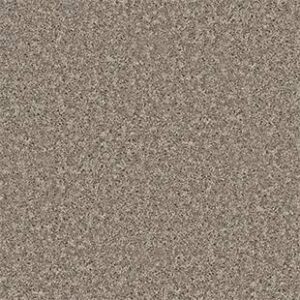 Shaw Floors Carpet All Star Weekend III 15' River Slate 00720_E0146