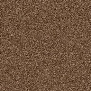 Shaw Floors Carpet All Star Weekend III 15' Desert Sunrise 00721_E0146
