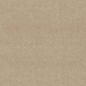 Shaw Floors Carpet Dyersburg Classic 12' Crisp Linen 00109_E0947
