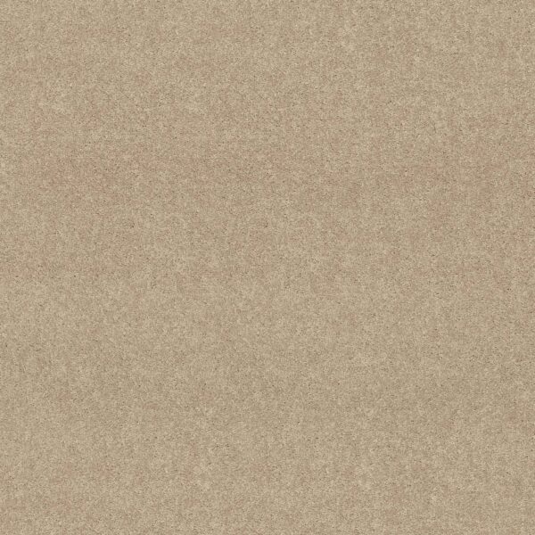 Shaw Floors Carpet Dyersburg Classic 12' Crisp Linen 00109_E0947