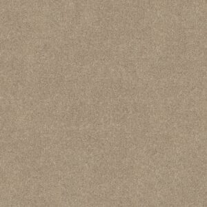 Shaw Floors Carpet Dyersburg Classic 12' Sand Dollar 00116_E0947