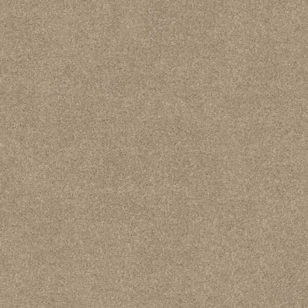 Shaw Floors Carpet Dyersburg Classic 12' Sand Dollar 00116_E0947